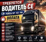 Водитель грузового транспорта