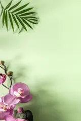 Массажистки с опытом и без главное