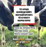 Скотник
