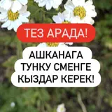 Сотрудник (столовая)