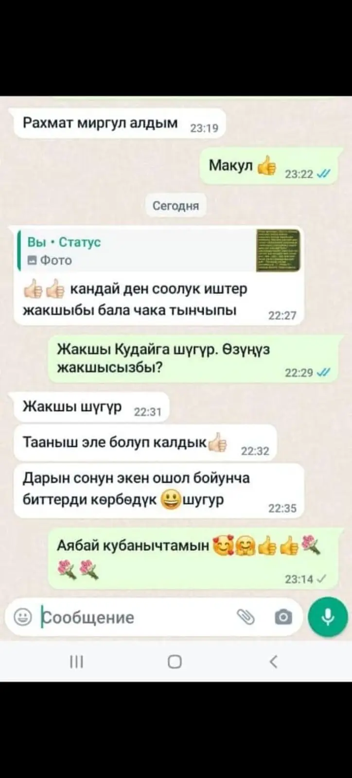 🧴Спрейди колдонуу жолу: ✅ Айша спрейин силкип аралаштыруу, чачканда — фото 6