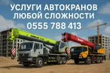 Услуги автокранов любой сложности а Монтаж/Демонтаж