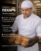 Пекарь