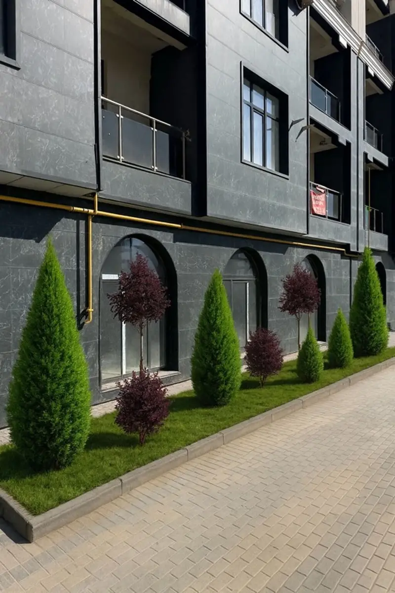 Ландшафтный дизайн Автополив под ключь 👌🏻🏡 Аман звоните — фото 6