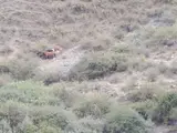 Мал баканга малчы керек бой же