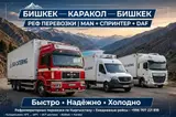 Сдаю рефрижератор Mercedes-Benz Sprinter, Посуточно