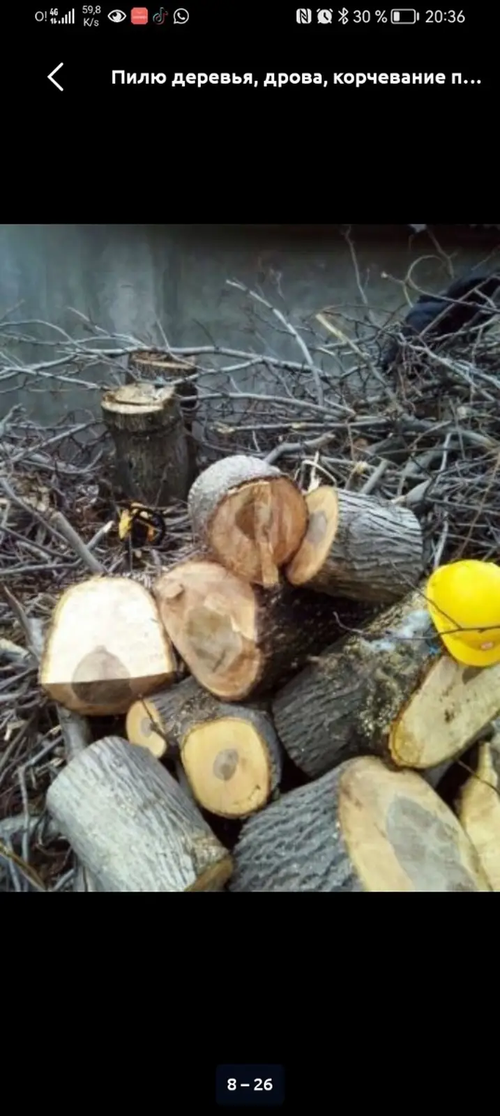 Услуги по распилу и уходу за деревьями — фото 2