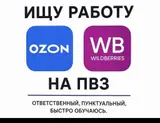 Услуга: соискатель работы на ПВЗ Ozon/Wildberries Описание