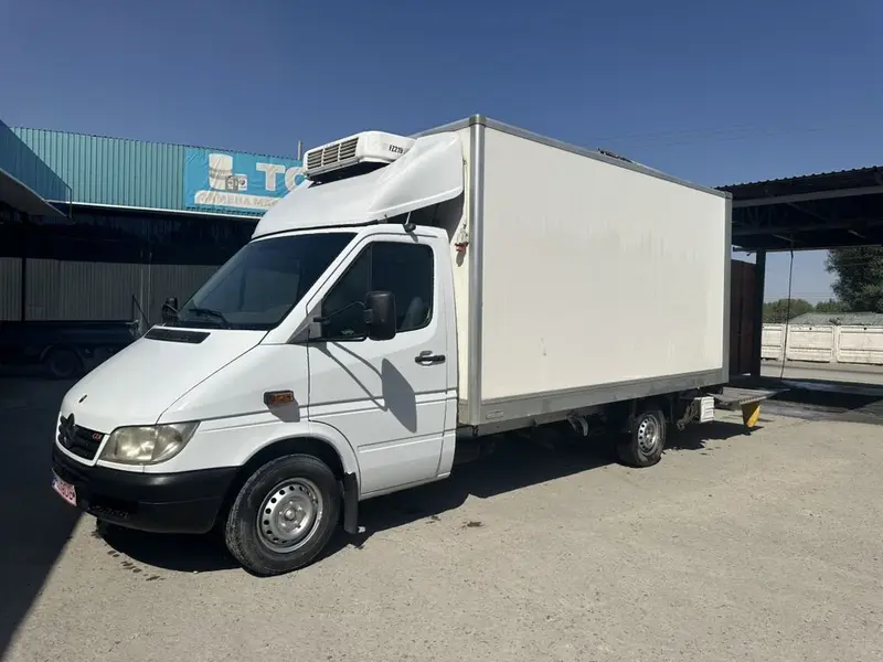 Mercedes-Benz Sprinter (кузов-фургон) 2.2 cdi 313 термо бутка балы — фото 4