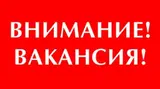 Разнорабочие