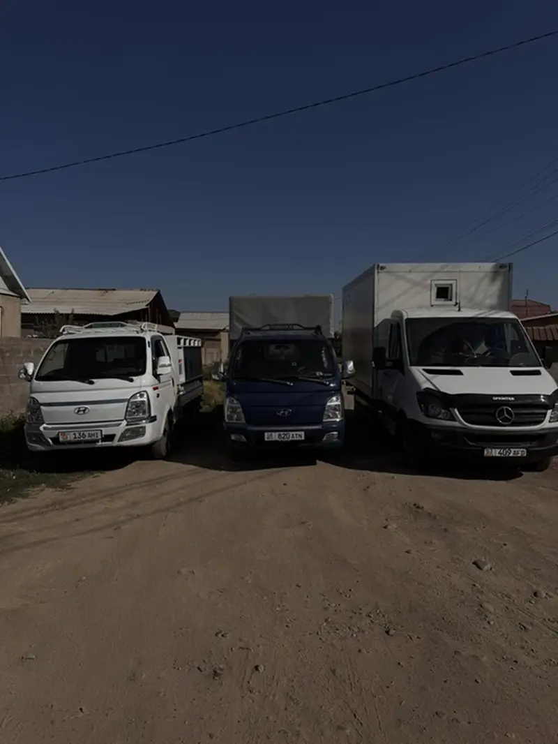 Грузоперевозки на фургонах Sprinter 906 и Hyundai — фото 4