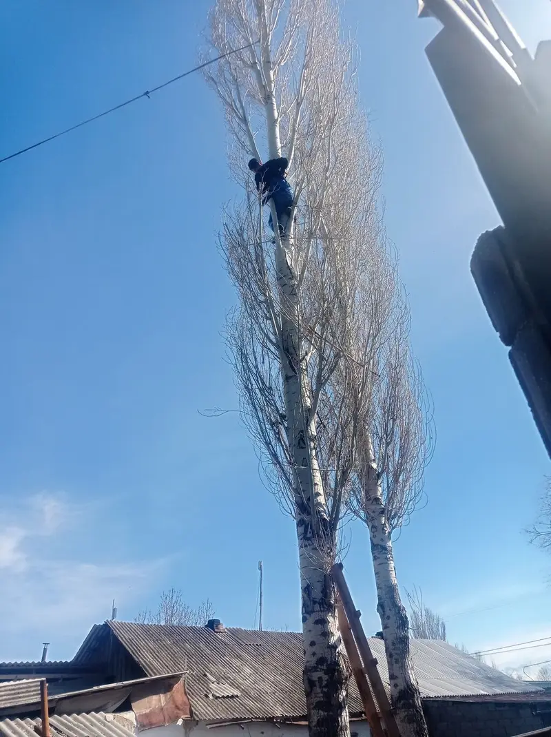 Гарантия 100% "спилю дерево " любой сложности #1 _тынар супер пильшик — фото 6
