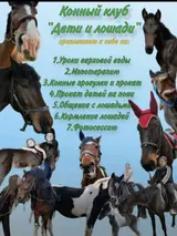 Конный клуб «Дети и лошади» Услуги