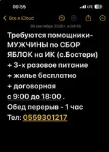 Помощники по сбору яблок
