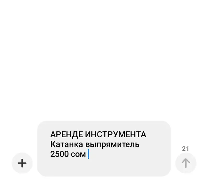 Аренда: электрический выпрямитель катанки (Straight PRO) — фото 3