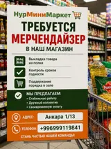 Мерчендайзер в «НурМиниМаркет»