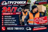 Грузчик. Больше 6 лет опыта