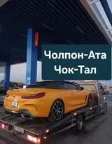 С лебедкой, С манипулятором, Со сдвижной платформой