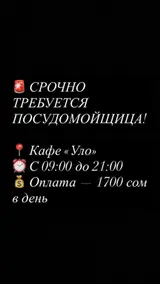 Посудомойщик