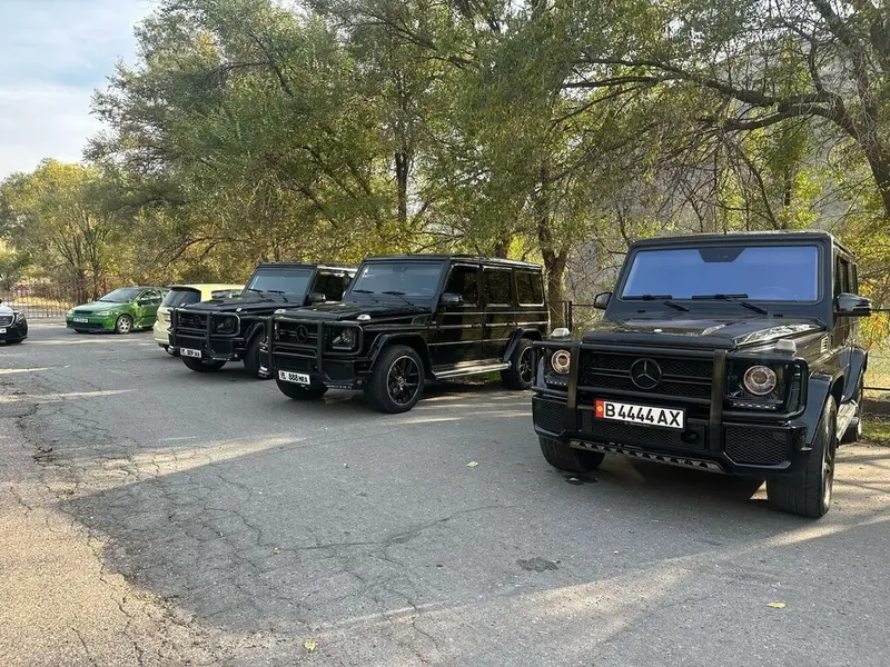 Гелик Гелендваген Геленд ваген Gelik Gelend wagen W463 G463 Kortej — фото 4