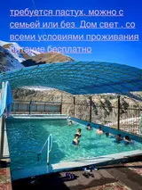 Пастух