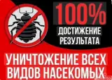 Дезинфекция, дезинсекция