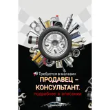 Продавец-консультант в Магазин автозапчастей