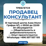 Продавец консультант