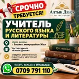Учитель русского языка и литературы