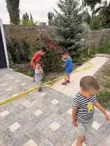 Няня