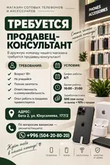 Продавец-консультант в Магазин электроники
