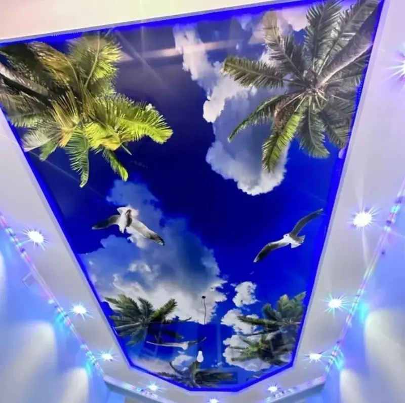 Натяжной потолок Глянцевое, Матовое, 3D потолки Гарантия, Бесплатная консультация… — фото 5