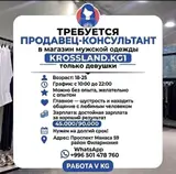 Продавец консультант на постоянной