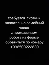 Скотник на ферму