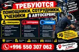 Помощники, сотрудники и ученики