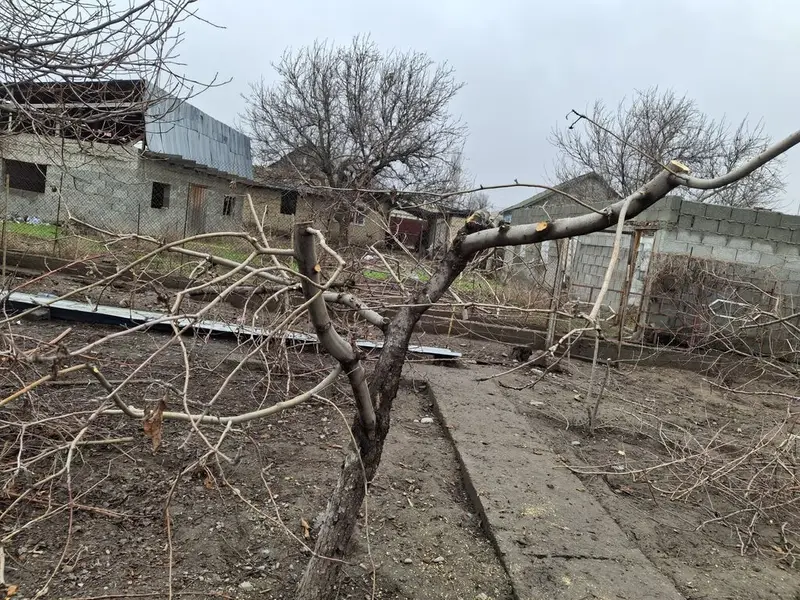 Алма-Бак бутайбыз — фото 3